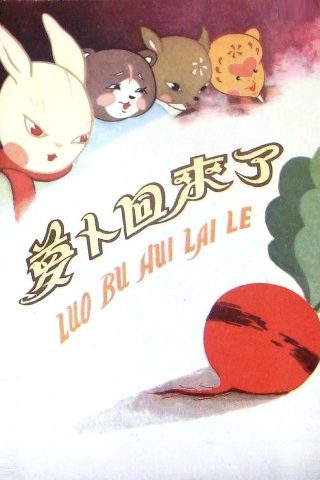 飞虎神鹰免费观看全集完整版