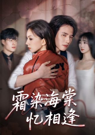 刘墉追案第3集免费观看全集高清