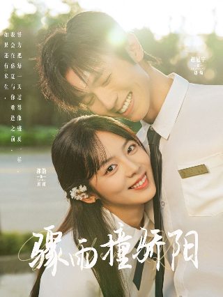 《温柔的谎言》大结局详解视频下载百度云