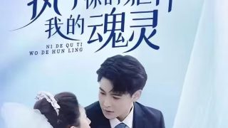 太极拳电视剧免费观看全集高清