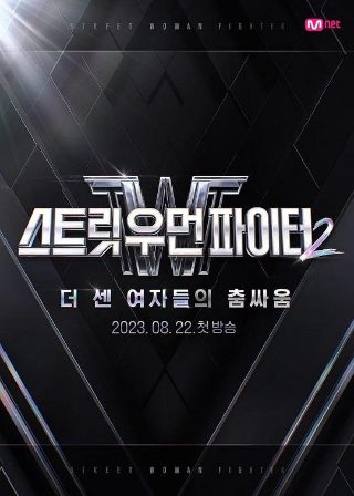 街头女战士2：worldwidelog
