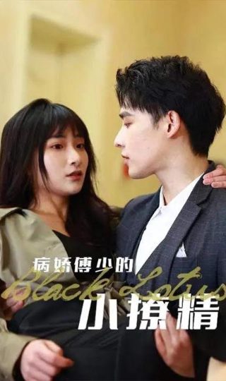 幸福之约大结局剧情介绍视频