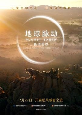 《木偶奇遇记》故事内容简介概括50字怎么写的