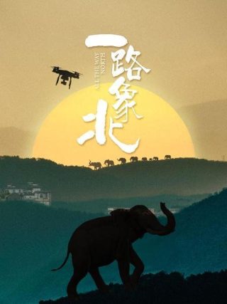 《堂吉诃德》英文版在线观看电影